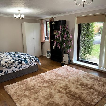 Stunning 2 Bedroom With Garden Sleep 6 ロンドン エクステリア 写真
